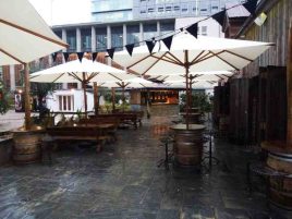 Iguana-Bar