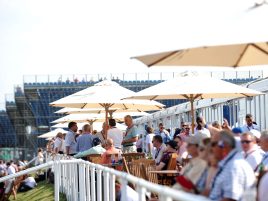 SIlverstone-Parasols-2-scaled